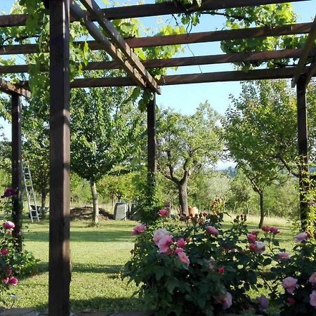 B&B Antegiano Belforte del Chienti Luaran gambar
