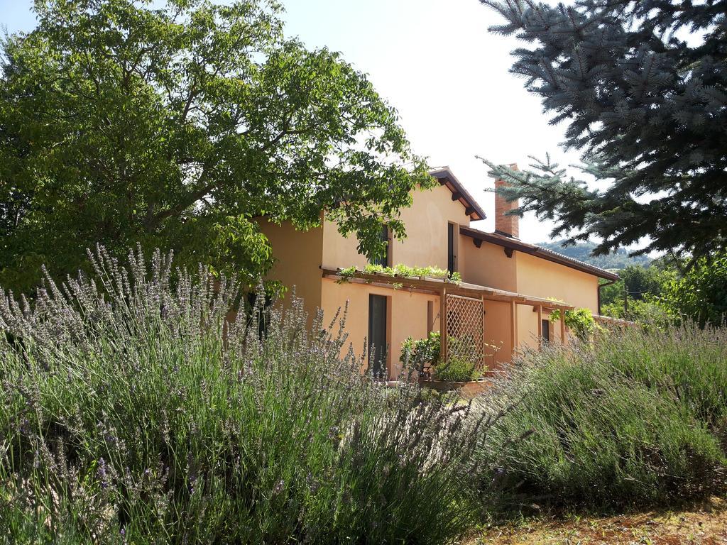 B&B Antegiano Belforte del Chienti Luaran gambar