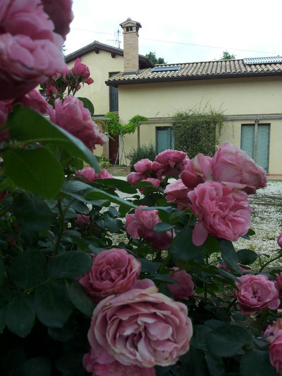 B&B Antegiano Belforte del Chienti Luaran gambar