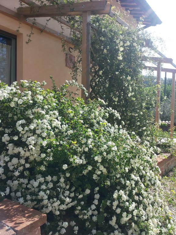 B&B Antegiano Belforte del Chienti Luaran gambar