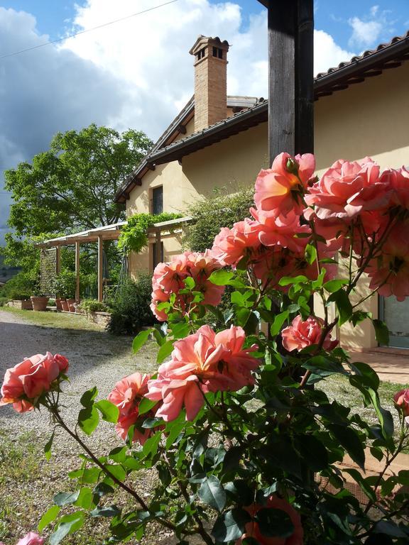 B&B Antegiano Belforte del Chienti Luaran gambar