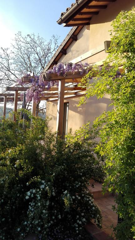 B&B Antegiano Belforte del Chienti Luaran gambar