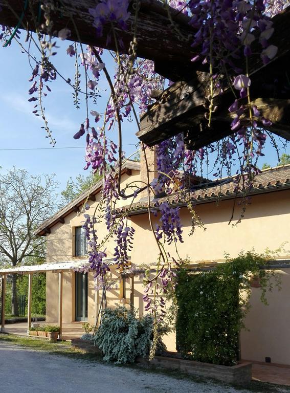 B&B Antegiano Belforte del Chienti Luaran gambar