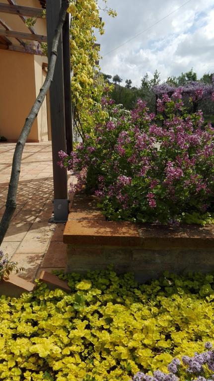 B&B Antegiano Belforte del Chienti Luaran gambar