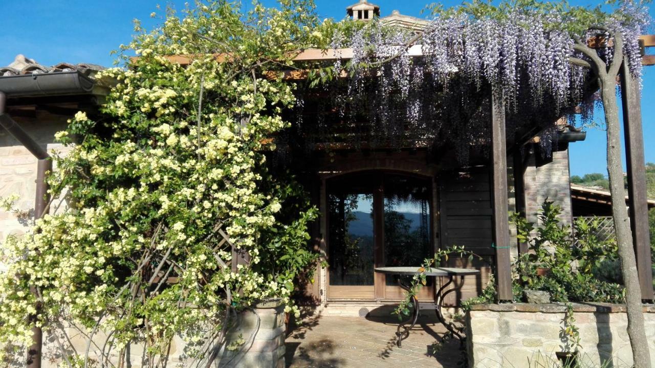 B&B Antegiano Belforte del Chienti Luaran gambar